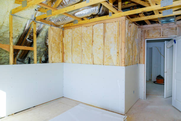 Best Specialized Insulation Services in Mayville, ND