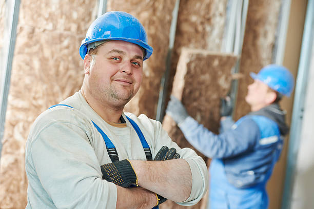 Best Geographic-Specific Insulation Services in Mayville, ND
